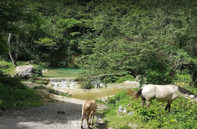 Balneario Mata de Maiz Polo Barahona 2